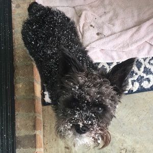 Meet your Posher, Morgan